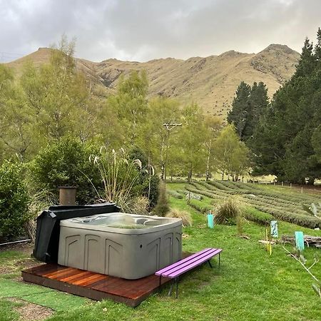 Danseys Pass Lavender Farm Villa Tokarahi Exterior photo